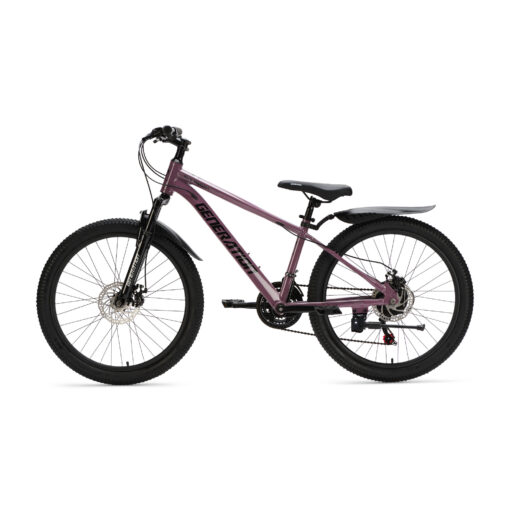 De Generation GT100 24 inch Paars is een lichte en sportieve mountainbike kinderfiets met 21 versnellingen en krachtige schijfremmen. Perfect voor actieve kinderen die klaar zijn voor langere en uitdagendere fietstochten.