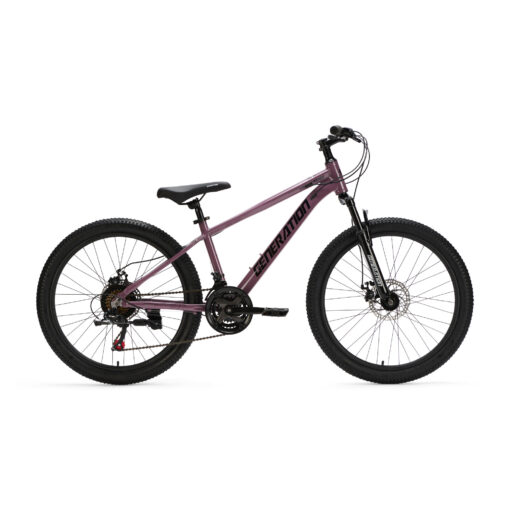De Generation GT100 24 inch Paars is een lichte en sportieve mountainbike kinderfiets met 21 versnellingen en krachtige schijfremmen. Perfect voor actieve kinderen die klaar zijn voor langere en uitdagendere fietstochten.